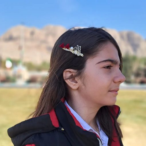 گیره انبری مجلسی، گل رُز - Image 7